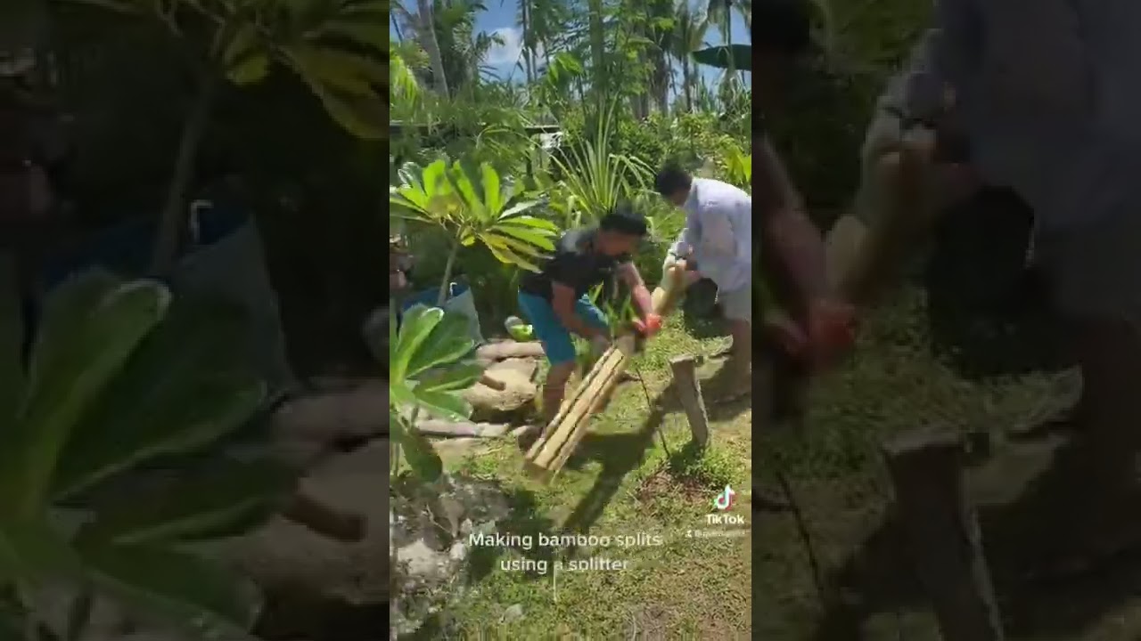 How to make bamboo splits using a splitter.