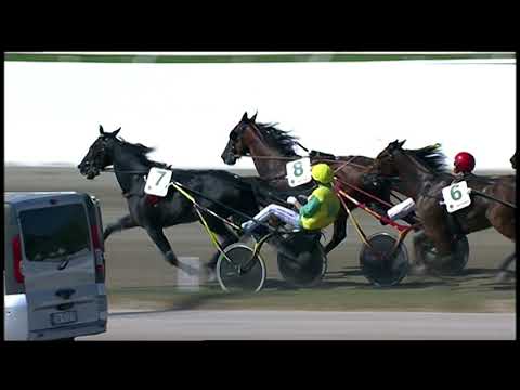 Napoli Trotto 03/10/2021 - 2ª corsa - 72° G.P. Lotteria 1ª batteria