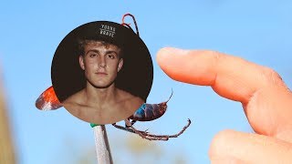 STUNG by JAKE PAUL | Brave Wilderness Fan Edit