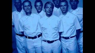 Blue Meanies - The Noise of Democracy