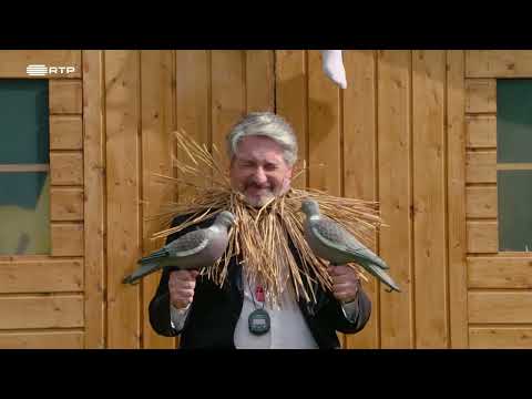 TaskMaster | Madalena Abecasis - Cria uma História