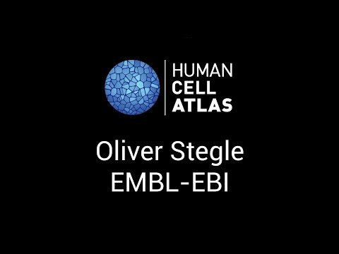 Oliver Stegle at the Human Cell Atlas Computational Methods meeting - Stockholm, 1-2 June 2017