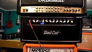 Video thumbnail for ****BADCAT Cougar 50 ((Demo *Review))**** by Eric Shreds