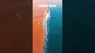 Download lagu Two Oceans That Never Mix! The Mysterious Meeting of the Pacific & Atlantic #shorts #science mp3 Download lagu Two Oceans That Never Mix! The Mysterious Meeting of the Pacific & Atlantic #shorts #science mp3