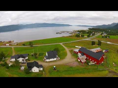 Din Tur sea fishing destination - Malangen fjordferie