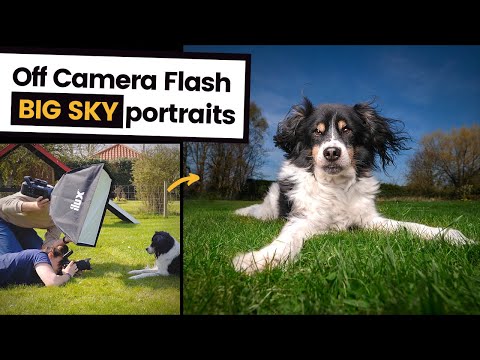 How to do Off Camera Flash Dog Photography | Mixing ambient & artificial light to get "WOW" shots