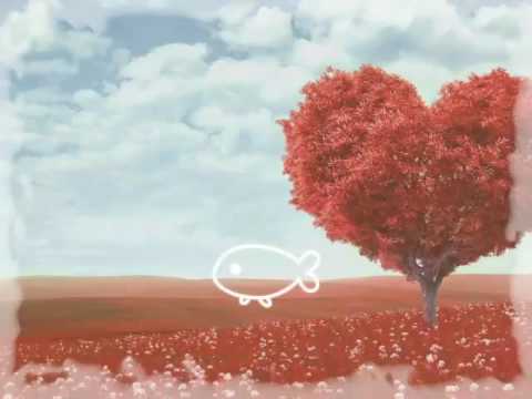 Negra mi vida - Francisco Teran