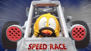 Chicky’s Car Race | Where's Chicky? | Cartoon Collection in English for Kids | New episodes