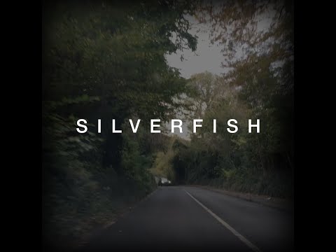 Silverfish - Gerr Walsh - Official Video
