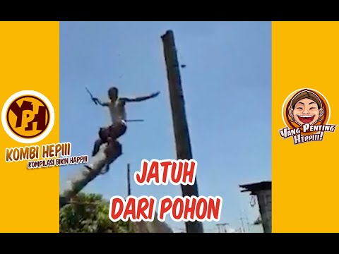 kombi-heppiii-jatuh-dari-pohon