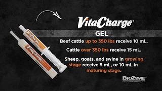 Vita Charge® Gel