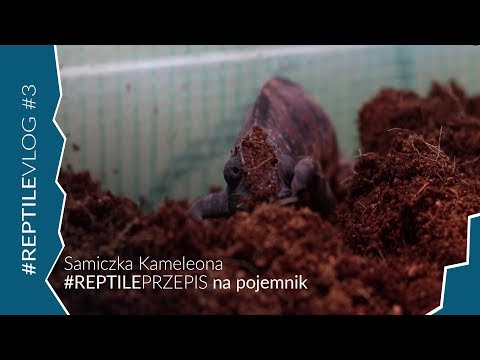 Kręgosłupa i mięśni unerwienie Ból tabletki, gdy napięcie mięśni