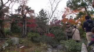 preview picture of video '嵐山と嵯峨野　2014年秋（Arashiyama and Sagano）'