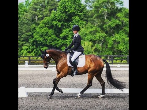 Fairway King | Ocala Jockey Club CCI 2* S | Test B | November 2019