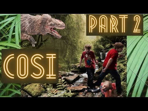 COSI Part 2 2022
