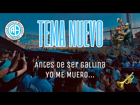 TEMA NUEVO🎶 || "ANTES DE SER GALLINA YO ME MUERO” 🎺🥁 - Los Piratas Celestes de Alberdi🏴‍☠️