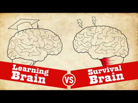 Understanding Trauma: Learning Brain vs Survival Brain