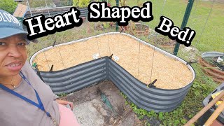 Planting SUPER Delicious GARLIC at Home is Easy!