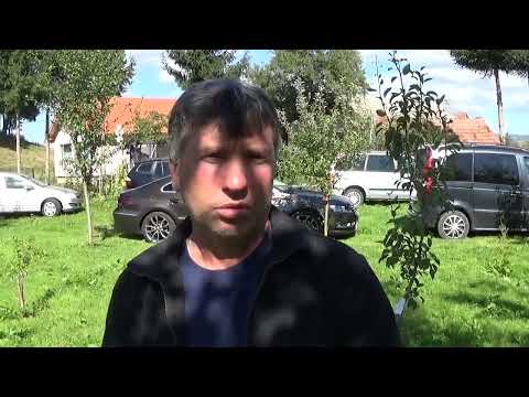 Interviu columbofil dl Gabor Mihaly Sf Gheorghe Covasna Romania 8 septembrie 2021