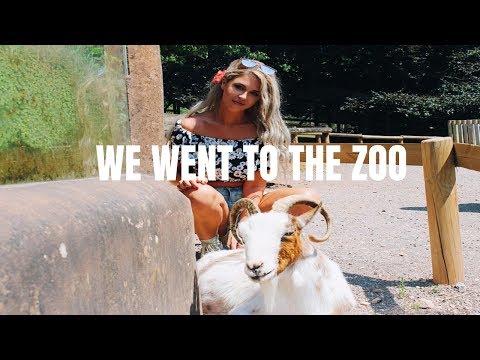WE WENT TO THE ZOO || SHANNON FOX ||