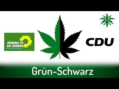 Grün-Schwarz | DHV-News # 291