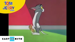 Tom ve Jerry  Dinamit  Boomerang