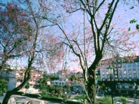 Thể hiện bởi Lê Anh Dũng