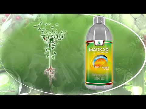Dhanuka Markar Bifenthrin Insecticide