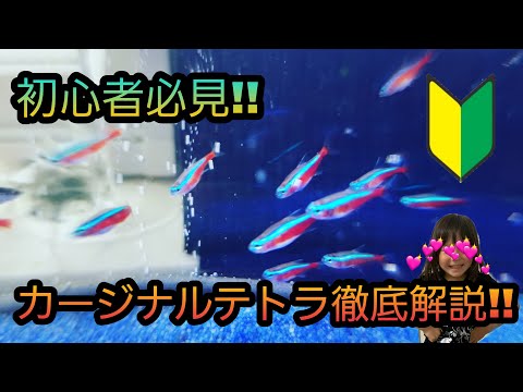 リダイレクトアイコン