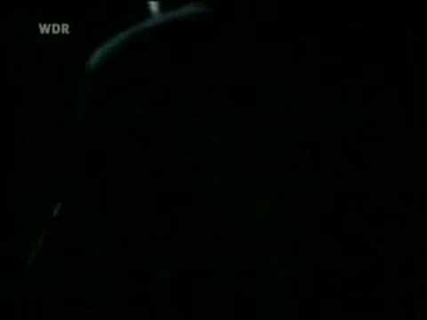 floh de cologne - profitgeier [wir stehen am rande] [1971]