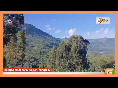 Wakazi wa Oloolua wakabiliwa na changamoto kuhufadhi msitu