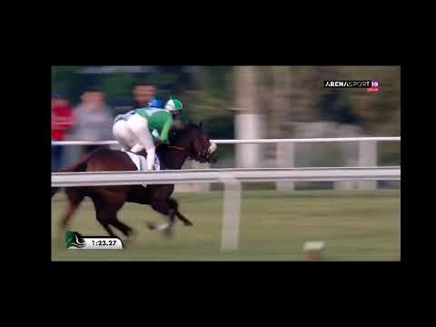 Šesta trka Zobnatica 24.09.2023 KUP ZOBNATICE AEG ELITE AGROHOLDING