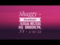 Shaggy - Boombastic - Ilegal Mezcal HQ - Brooklyn, NY - 5/12/22