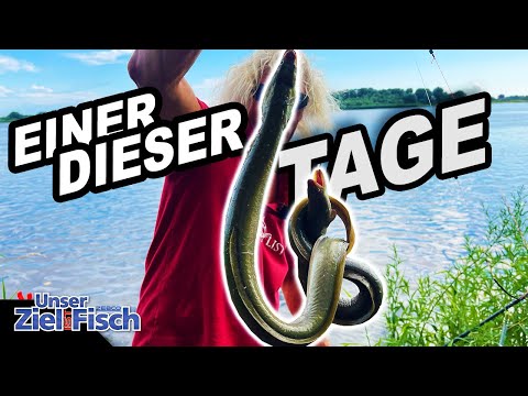 DREAM DAY after HORROR START - JÖRG'S WELSPLAN brings BITE after BITE - Our goal is fish fishing ...