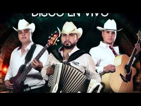 solito como perrito grupo linea sierreña