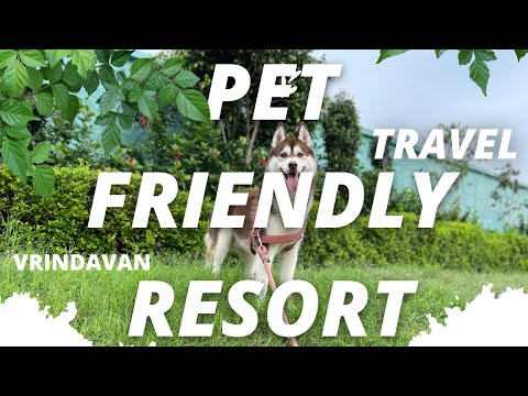 Pet Friendly Hotels in Vrindavan Uttar Pradesh || Travel with Pets | Gordon Tropics | Husky in India