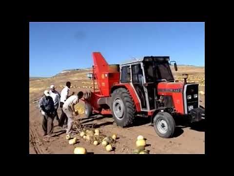 D.P 2400- Pumpkin Seed Harvesting Machine With Depot