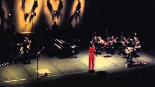 Hooverphonic - PBA (Charleroi) - 02 Dec 2012 - Renaissance Affair (with intro from Alex Callier)