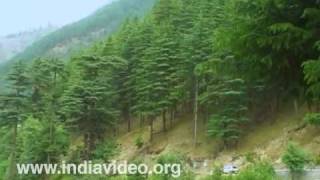 The soothing greenery of Himachal Pradesh