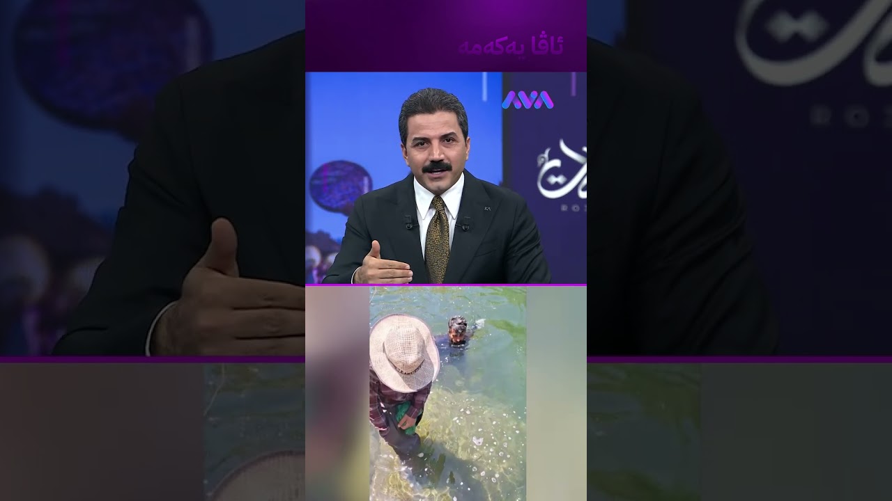 ڤیدیۆ | ماسیگرە ژینگەپارێزەکەی هەورامان بە دەست ماسی دەگرێ