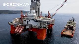 N.L.’s economy is growing fast thanks to these booming industries