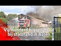 500 biggen om het leven gekomen bij stalbrand Asten