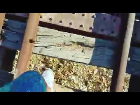 Okaybieh Beirut Lebanon #rivers #charissetumbiga