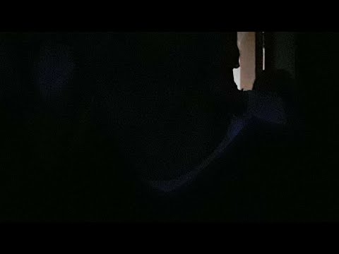 Litoral Pole Championship 2019