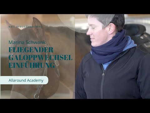 Fliegender Galoppwechsel: Teil 1 Theorieeinheit