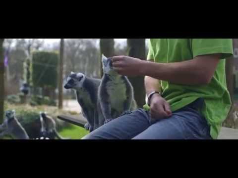 Ralf - Who Do You Think You Are (Official Videoclip)