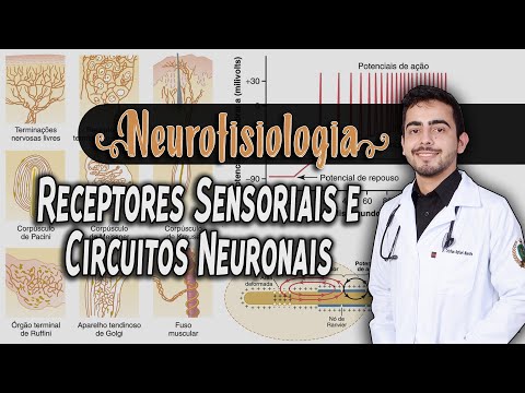 Physiology - Sensory Receptors and Neural Circuits (Chapter 47/46) PART 1/2│ GUYTON