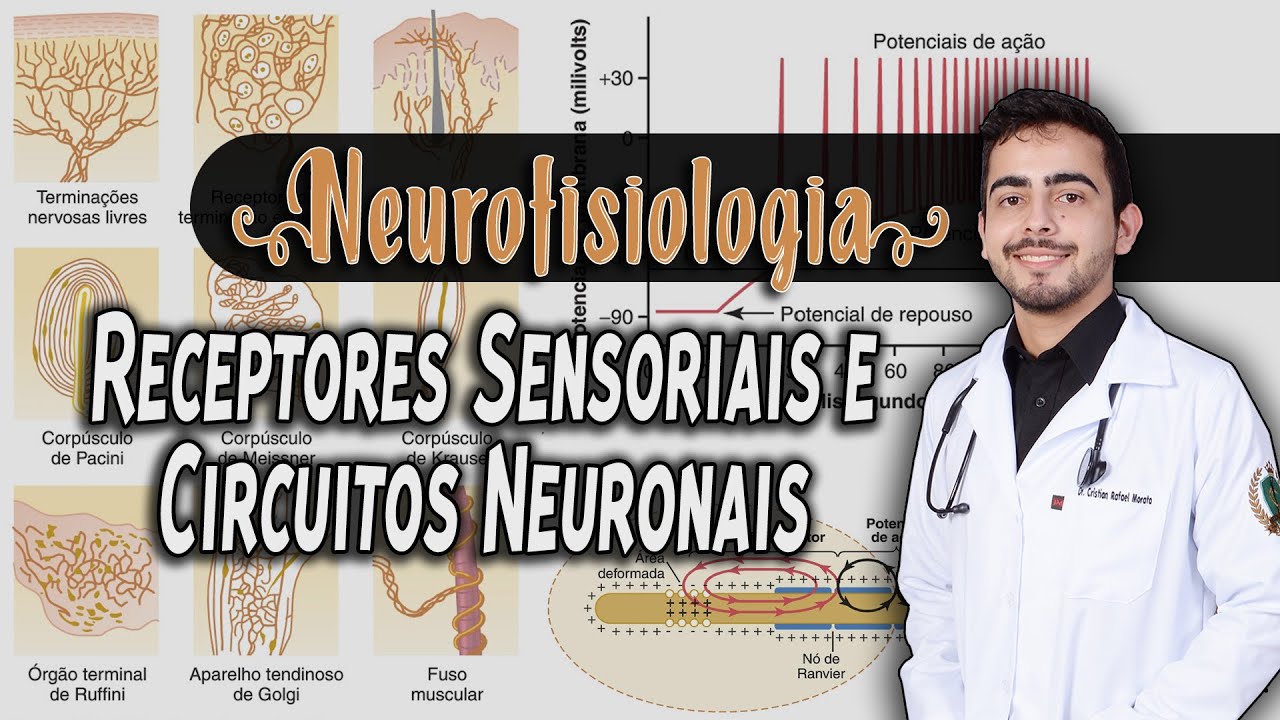Fisiologia - Receptores Sensoriais e Circuitos Neuronais (Capítulo 47/46) PARTE 1/2│ GUYTON