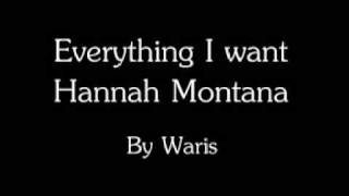 Hannah Montana The Movie - Everything i want  *Lyrics* ( steve rushton )