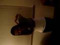Renee S Party Trick